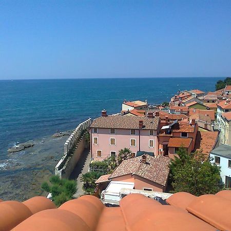 Apartments Edo Novigrad  Bagian luar foto