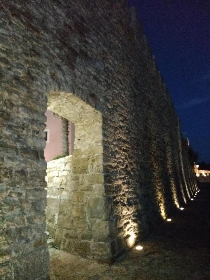 Apartments Edo Novigrad  Bagian luar foto
