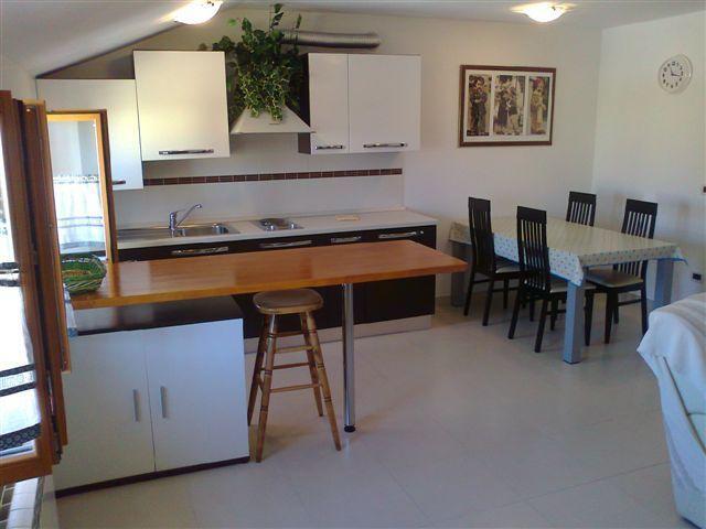 Apartments Edo Novigrad  Bagian luar foto