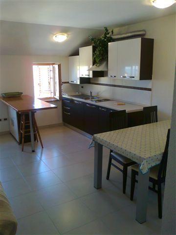 Apartments Edo Novigrad  Bagian luar foto