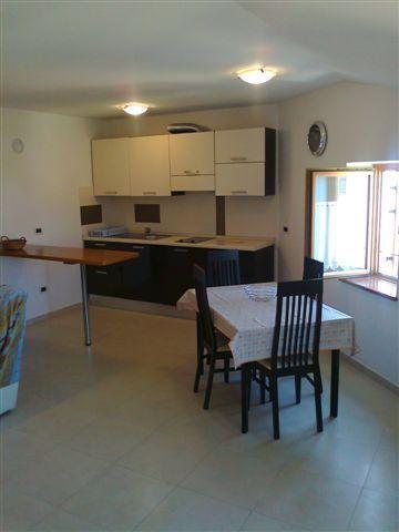 Apartments Edo Novigrad  Bagian luar foto