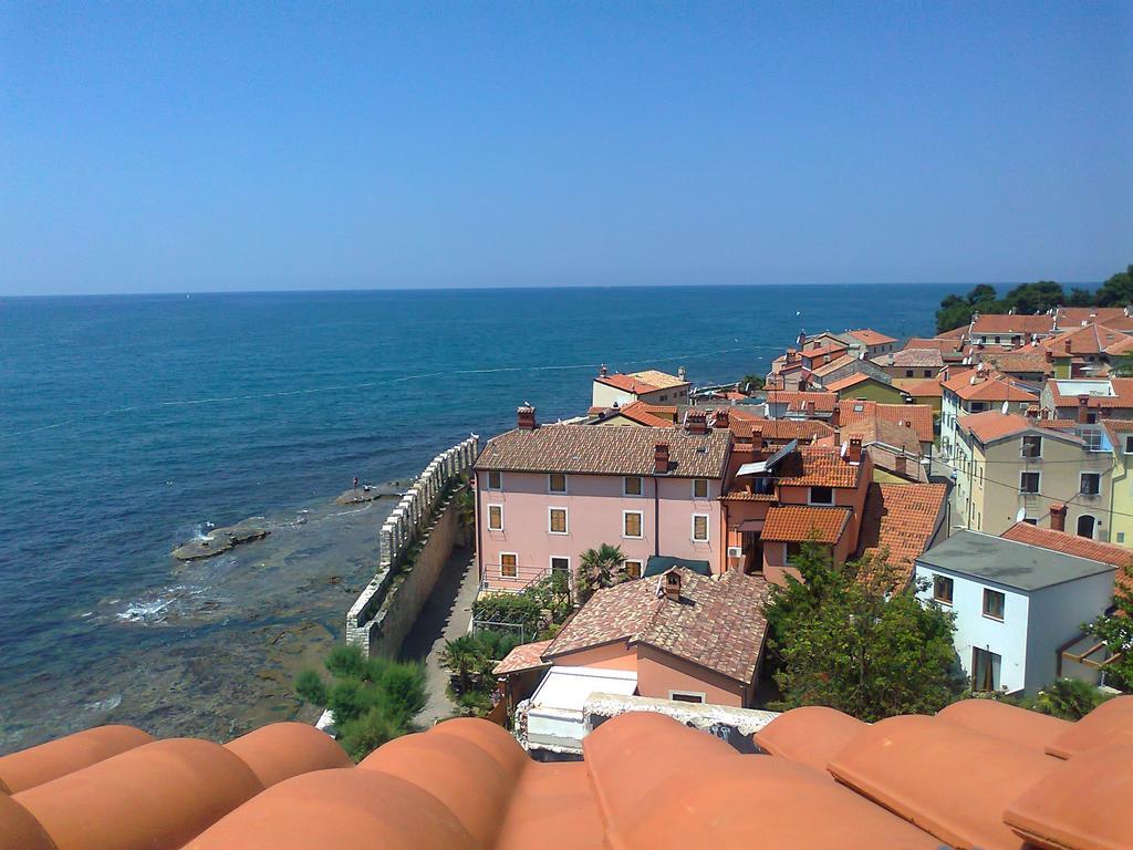 Apartments Edo Novigrad  Bagian luar foto